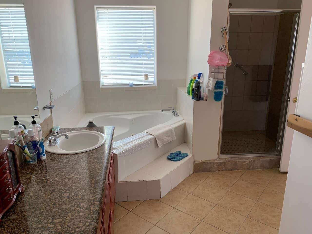 Ensemble douche/baignoire, baignoire à jets, sèche-cheveux, bidet