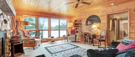 Living area | TV, fireplace, books