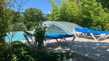 A pool area with a glass-enclosed section, two blue lounge chairs, and a potted plant.