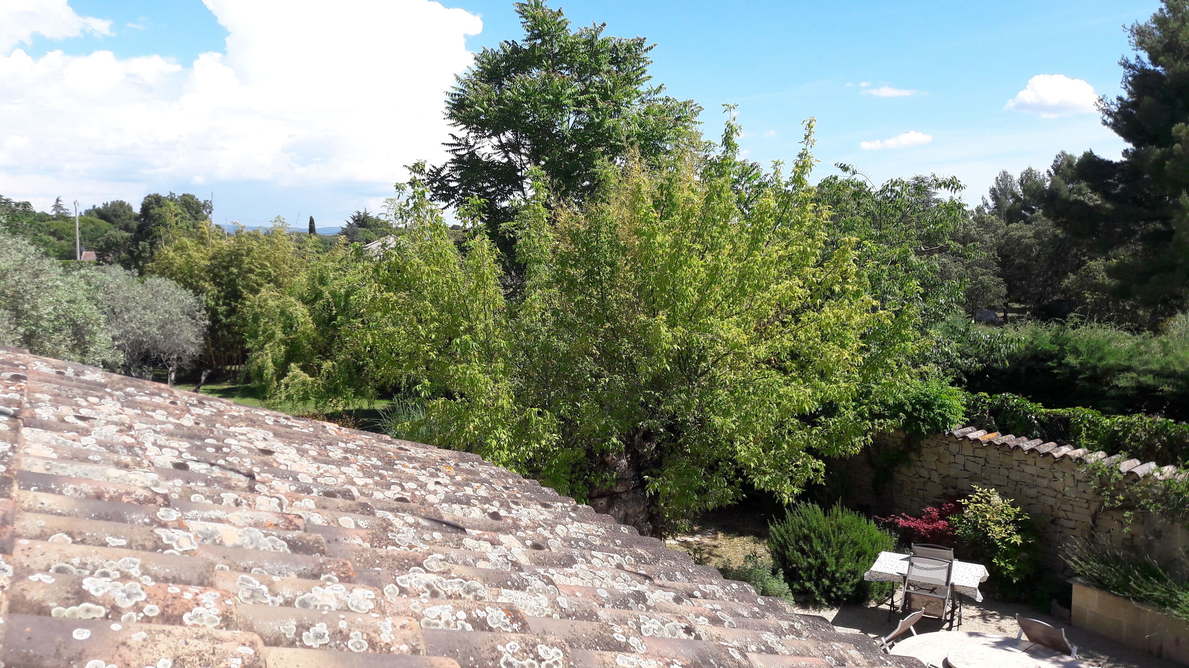 La Fontaine | Vue de la chambre