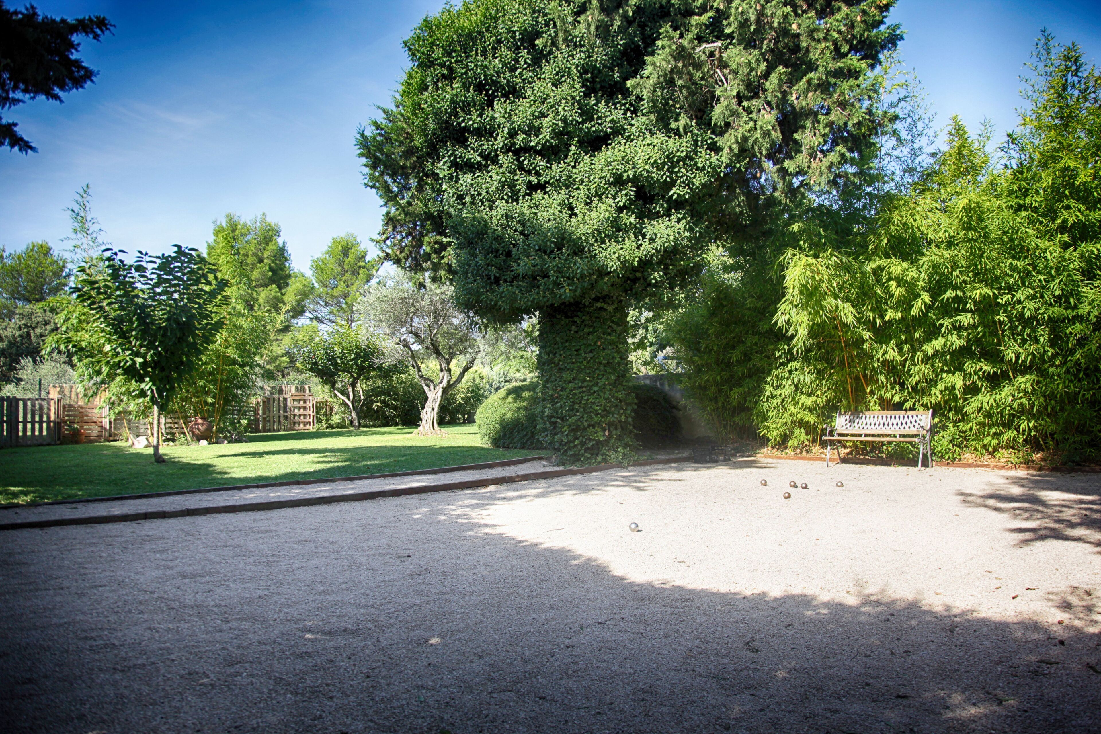 Un parco con un vialetto ghiaioso, una panchina e un albero grande.