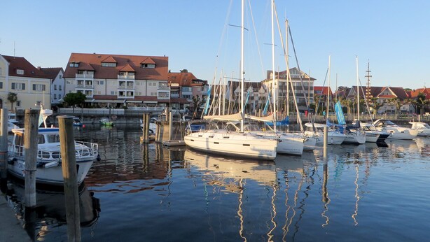 Ein Yachthafen mit mehreren dort liegenden Booten, umgeben von Wohngebäuden.