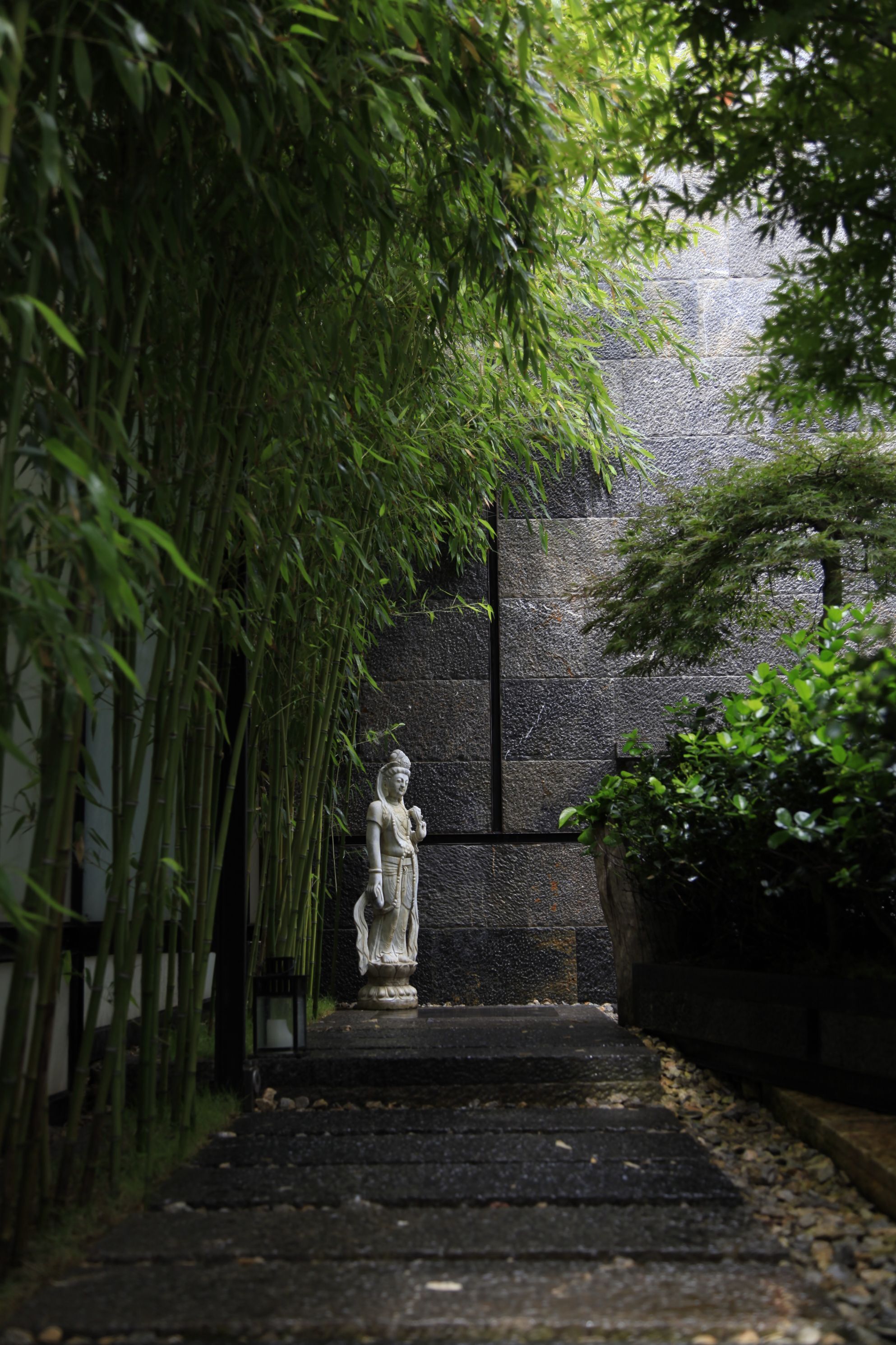 Caminho de pedra que leva a uma estátua em um jardim com bambu e outras plantas.