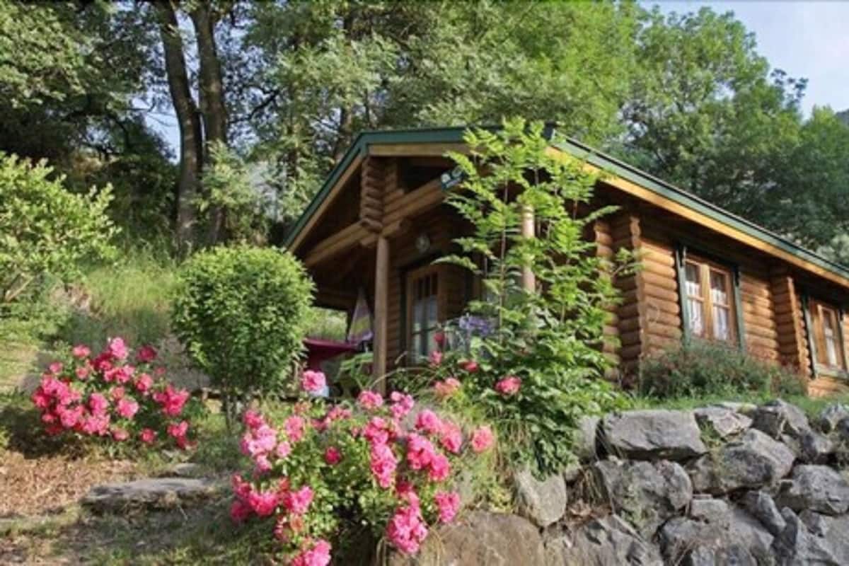 Una cabaña de troncos con un porche, rodeada de follaje y flores rosadas.