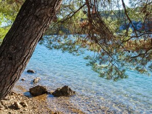 Beach nearby, sun-loungers - Apartment by the sea with Poll (Komarna)