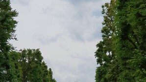 Un parc doté d’une fontaine centrale, entouré d’arbres et bordé d’une allée pavée.