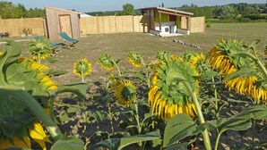 A fenced backyard with a small wooden structure, possibly a shed or a playhouse, surrounded by a field of sunflowers. - Les Yourtes d'Agnac (Agnac)