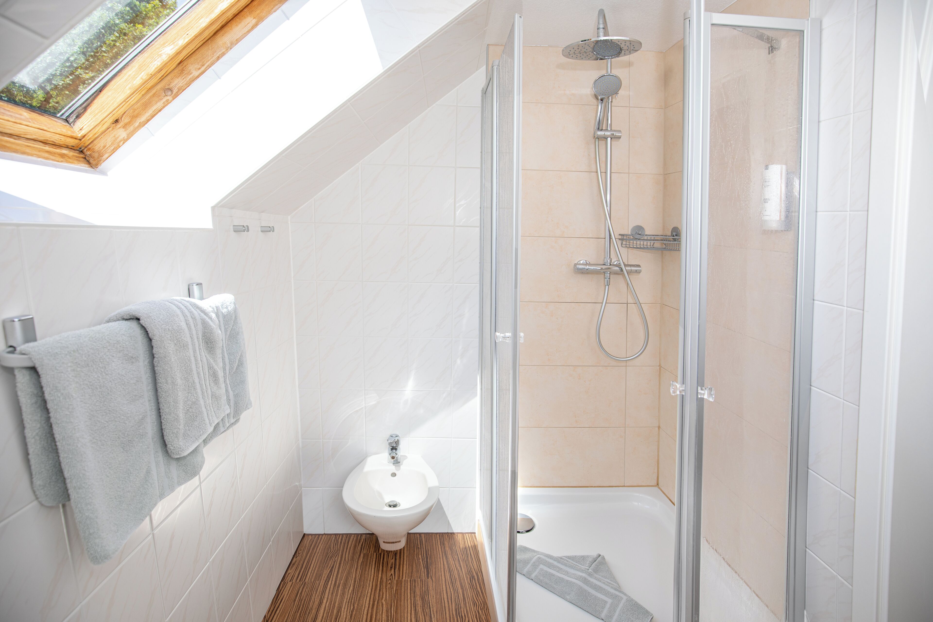 A modern bathroom with a skylight, a shower, a sink, and a toilet.