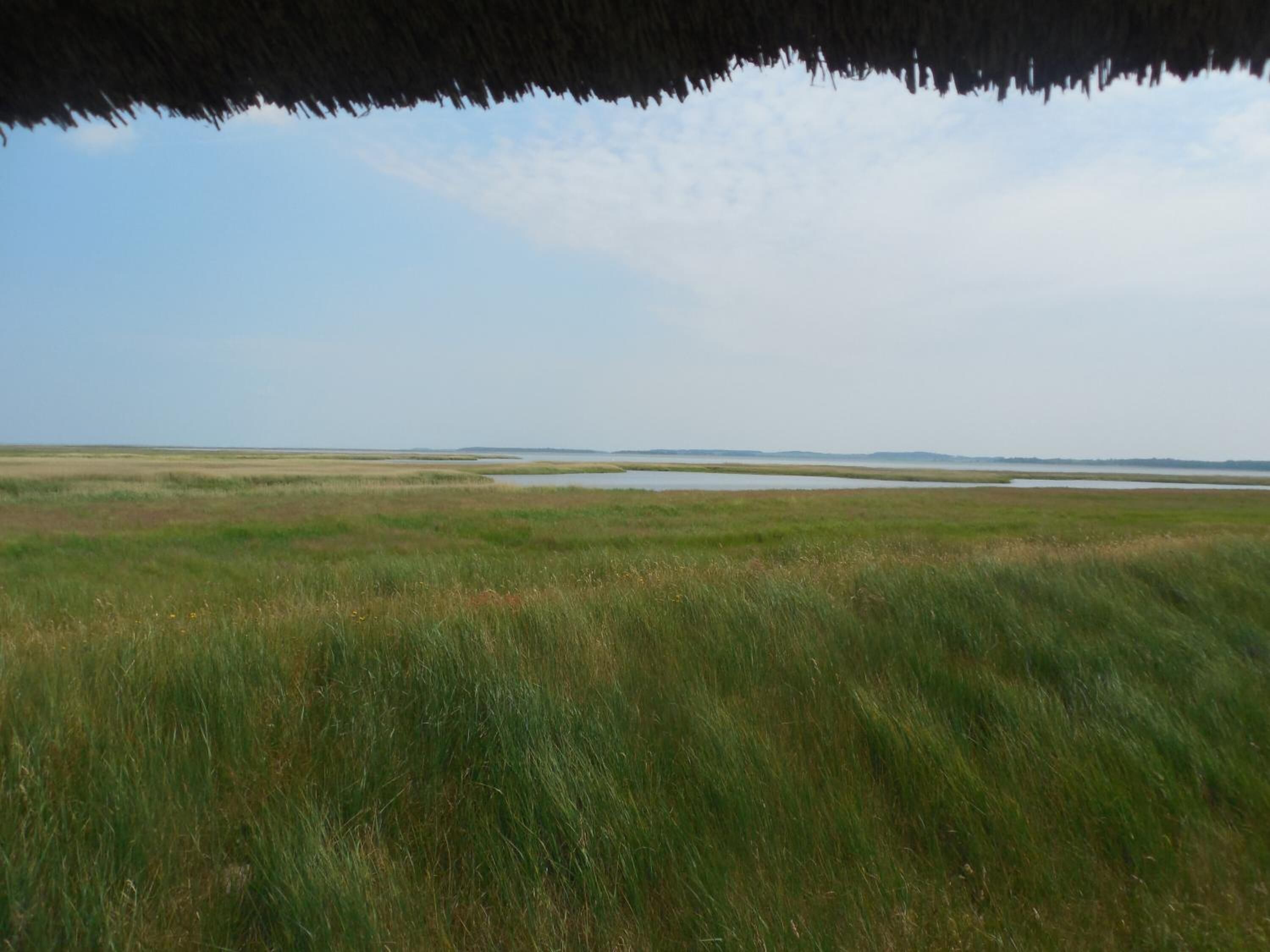 Weite, offene Landschaft mit einem strohgedeckten Bau im Vordergrund, der eine ländliche Atmosphäre vermittelt.