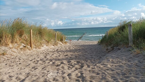 Un sentier de sable qui longe la plage et mène à l’océan, bordé de dunes herbeuses et de poteaux en bois.