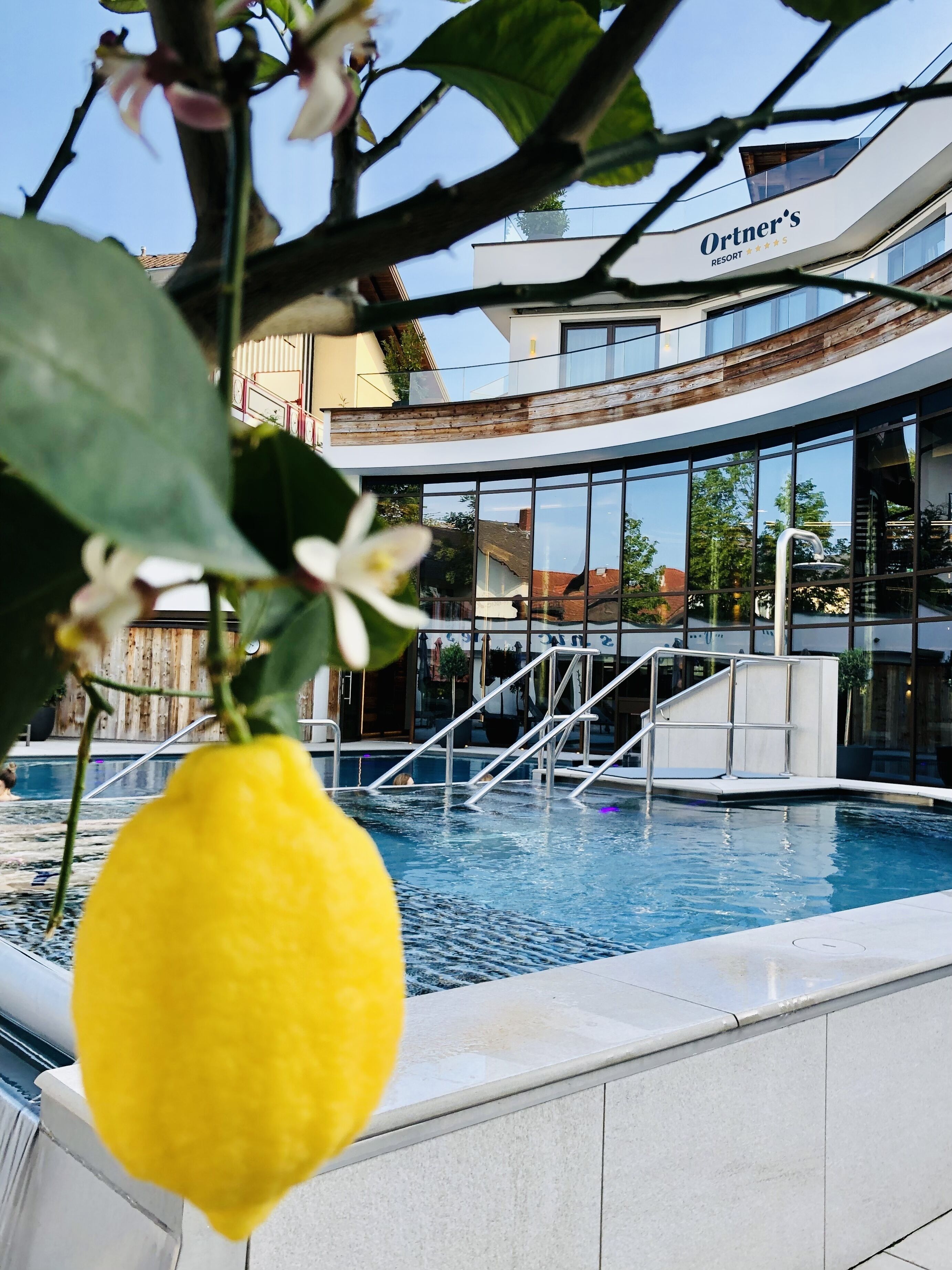 Zona de piscina con un edificio moderno al fondo, un limón amarillo colgando de una rama y un cielo despejado.