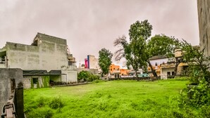 Jardín