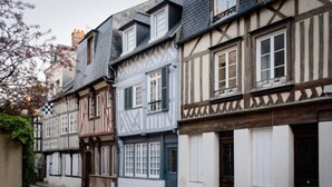 Een rij traditionele vakwerkhuizen met wit en donker houtwerk, een smalle straat en een boom met roze bloesems.