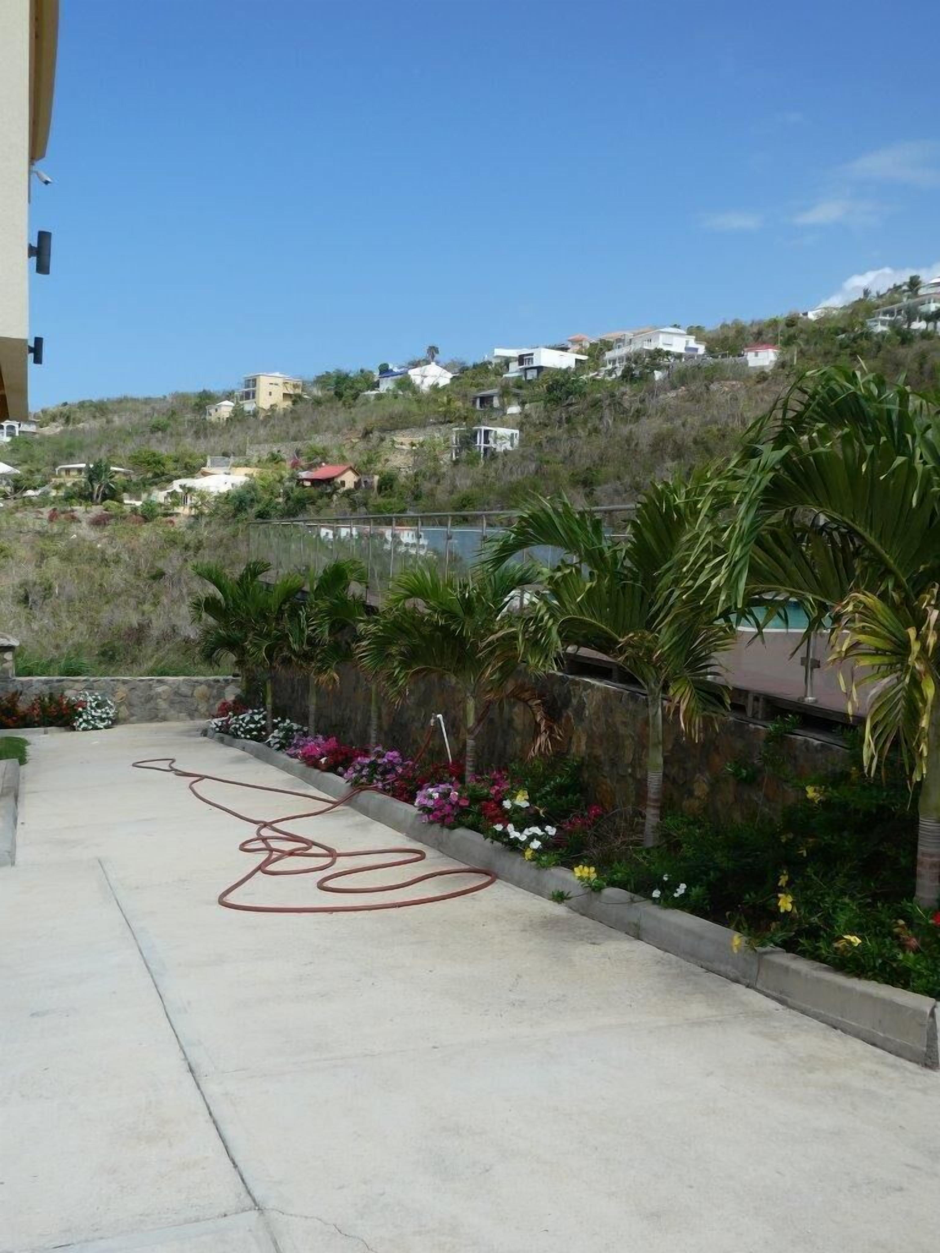 A concrete pathway with a red graffiti mark, surrounded by a garden with various plants and flowers, leading to a hillside with houses.