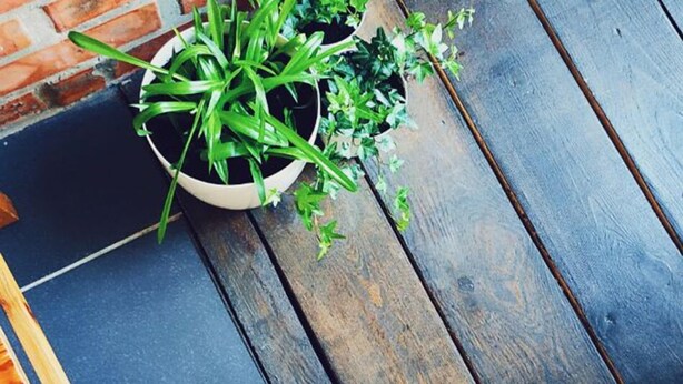 Una esquina de habitación con pared de ladrillo, suelo de madera y planta en maceta.