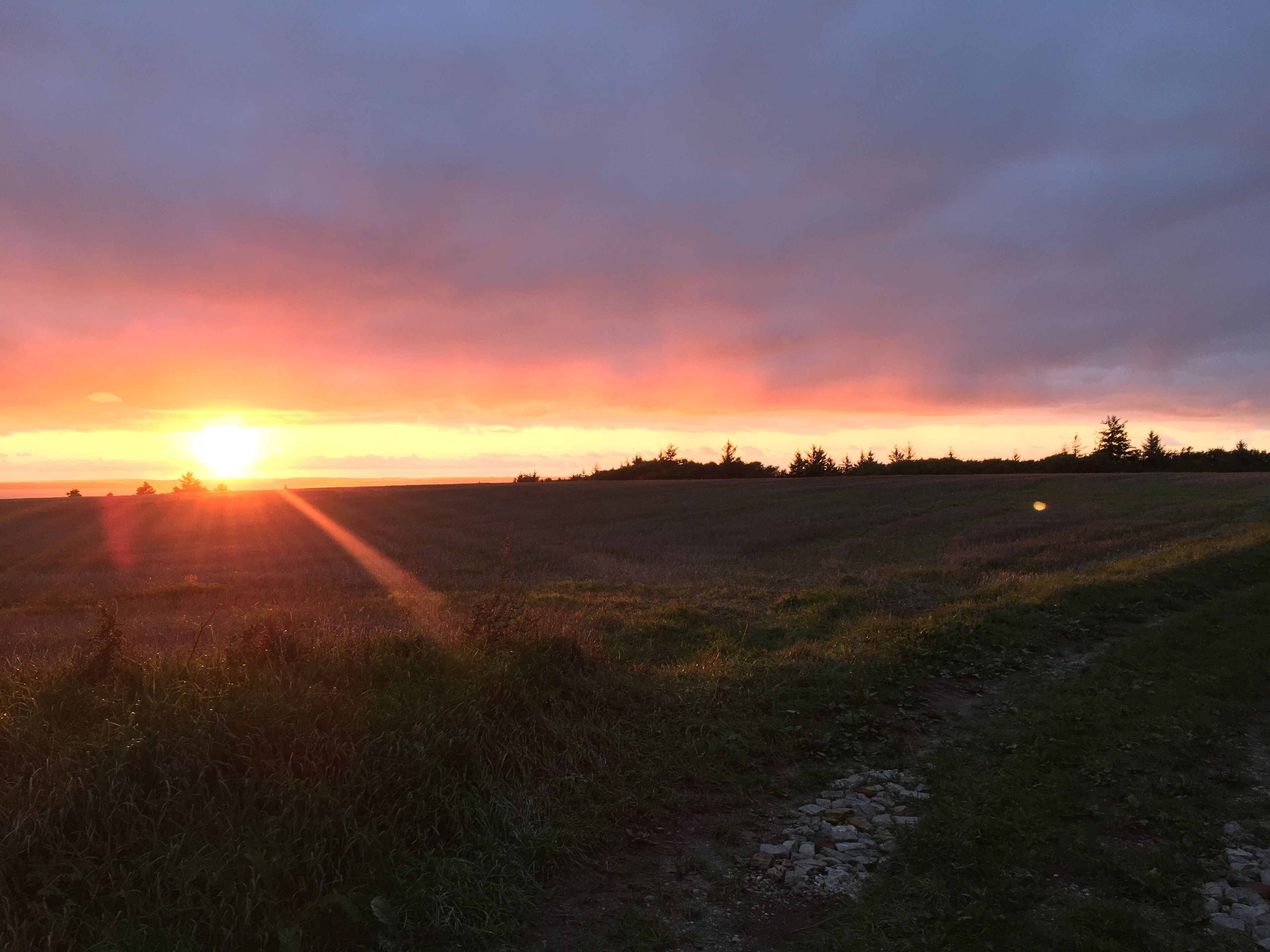 basic double room, terrace | view from room