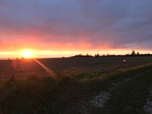 A sunset over a field with a dirt path leading through it. - Heltoften Bed & Breakfast (Nykobing Mors)