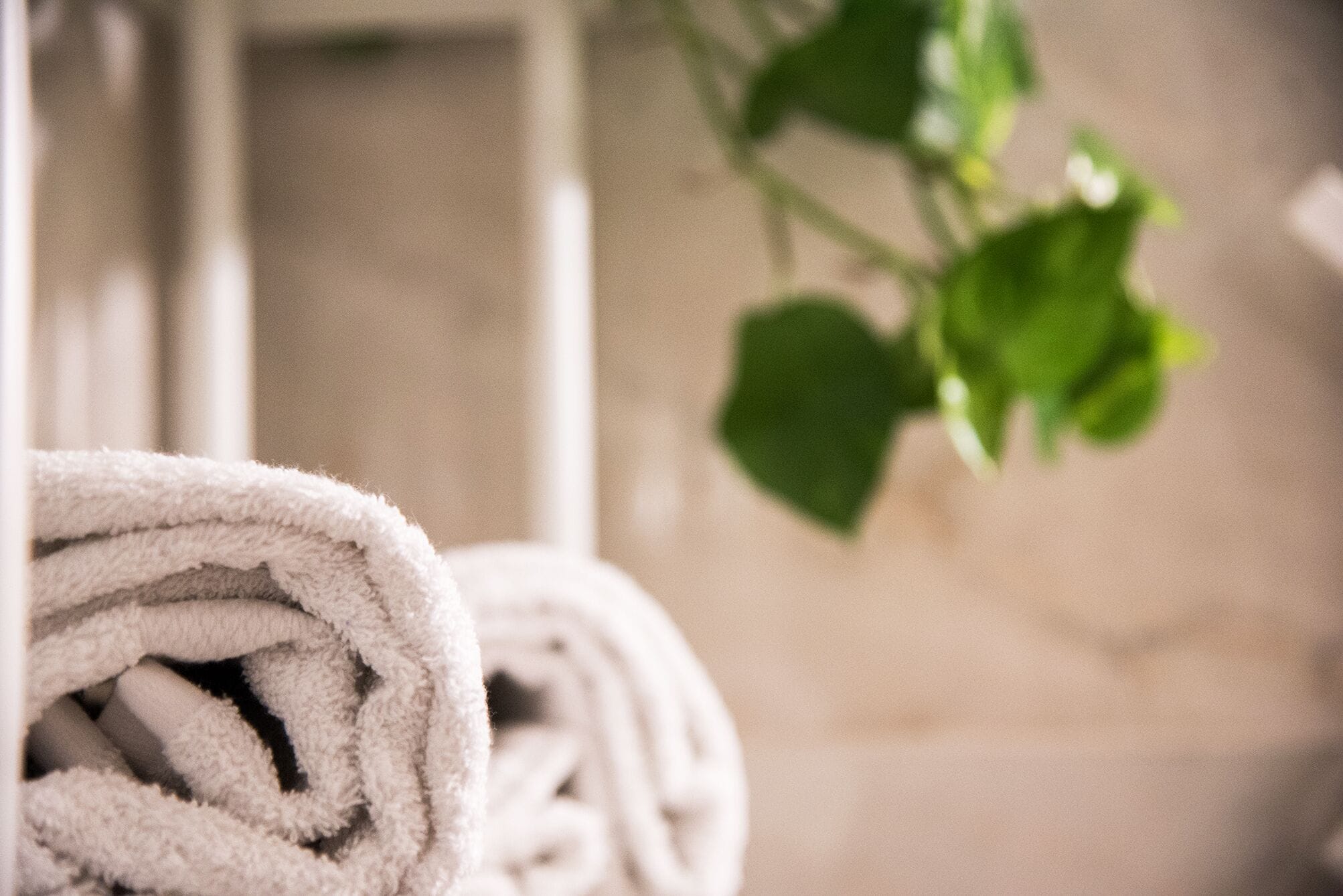 A rolled towel and a green plant in a neutral-toned room.