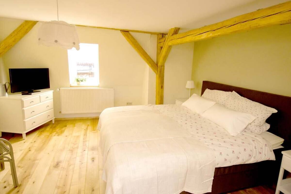 Departamento, 1 habitación (Antonia, incl. Cleaning Fee 45 EUR) | Área de sala de estar | Televisión de pantalla plana de 55 pulgadas con canales digitales