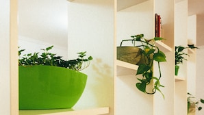 A bookshelf with books and green plants. - MalinaApt  Sophisticated red (Kyiv)