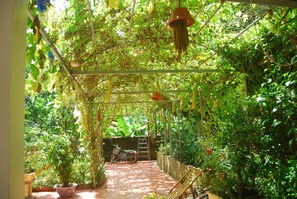 Garden - Phi Hung's Unique homestay (Hoa Lu)