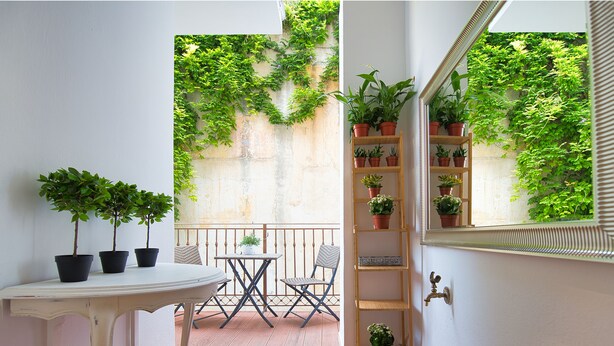 Un couloir étroit doté d’un plancher en bois, une table blanche ornée de trois plantes en pot, une chaise et une petite étagère en bois sur laquelle sont posées d’autres plantes.