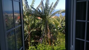 A window with a view of a tropical garden and a distant coastline. - Casa da Avó Celina (Funchal)