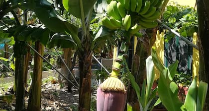 Casa da AvĂł Celina