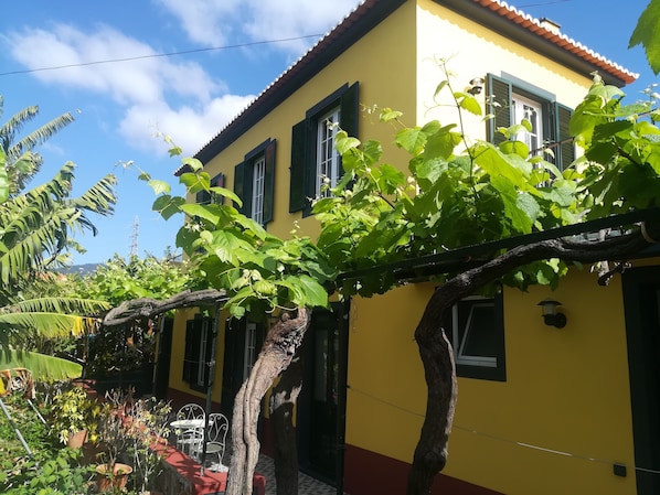 A yellow building with green shutters, a vine-covered pergola, and a red and white tiled ground.