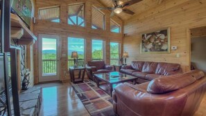 TV, fireplace, video games, DVD player