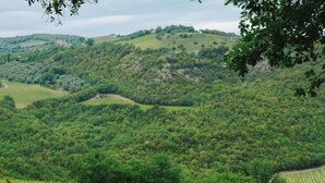 A picnic setup with a basket, blanket, pillows, and food items on a grassy area with a hilly landscape in the background. - Mastrojanni Relais - Small Luxury Hotels of the World (Montalcino)