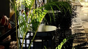A patio area with a table and chairs, surrounded by various potted plants and a butterfly sculpture. - Key Hotel at Old City Center (Chiang Mai)
