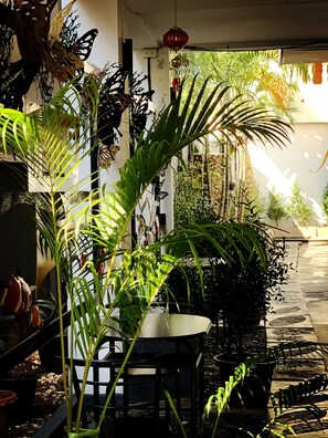 Jardin