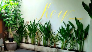 A wall with the word "Key" and "RESTAURANT" written in yellow, surrounded by various green plants in pots. - Key Hotel at Old City Center (Chiang Mai)