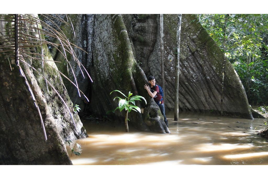 The beautiful heliconias nature reserve