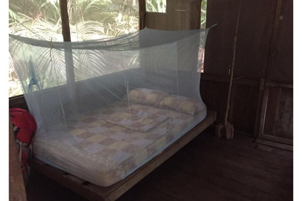 The beautiful heliconias nature reserve