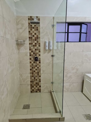 Combined shower/bathtub, towels