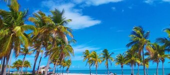 Miami Vacation Rentals Brickell / Coconut Grove tiene una amplia gama de galardonados apartamentos y suites