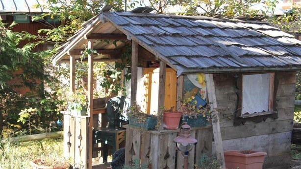 A rustic wooden structure with a porch, surrounded by potted plants.