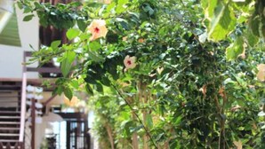 Interior detail - Pousada Parador 081 (Ipojuca)