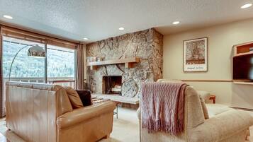 Nhà | Phòng khách | TV màn hình phẳng, lò sưởi, đầu đĩa DVD