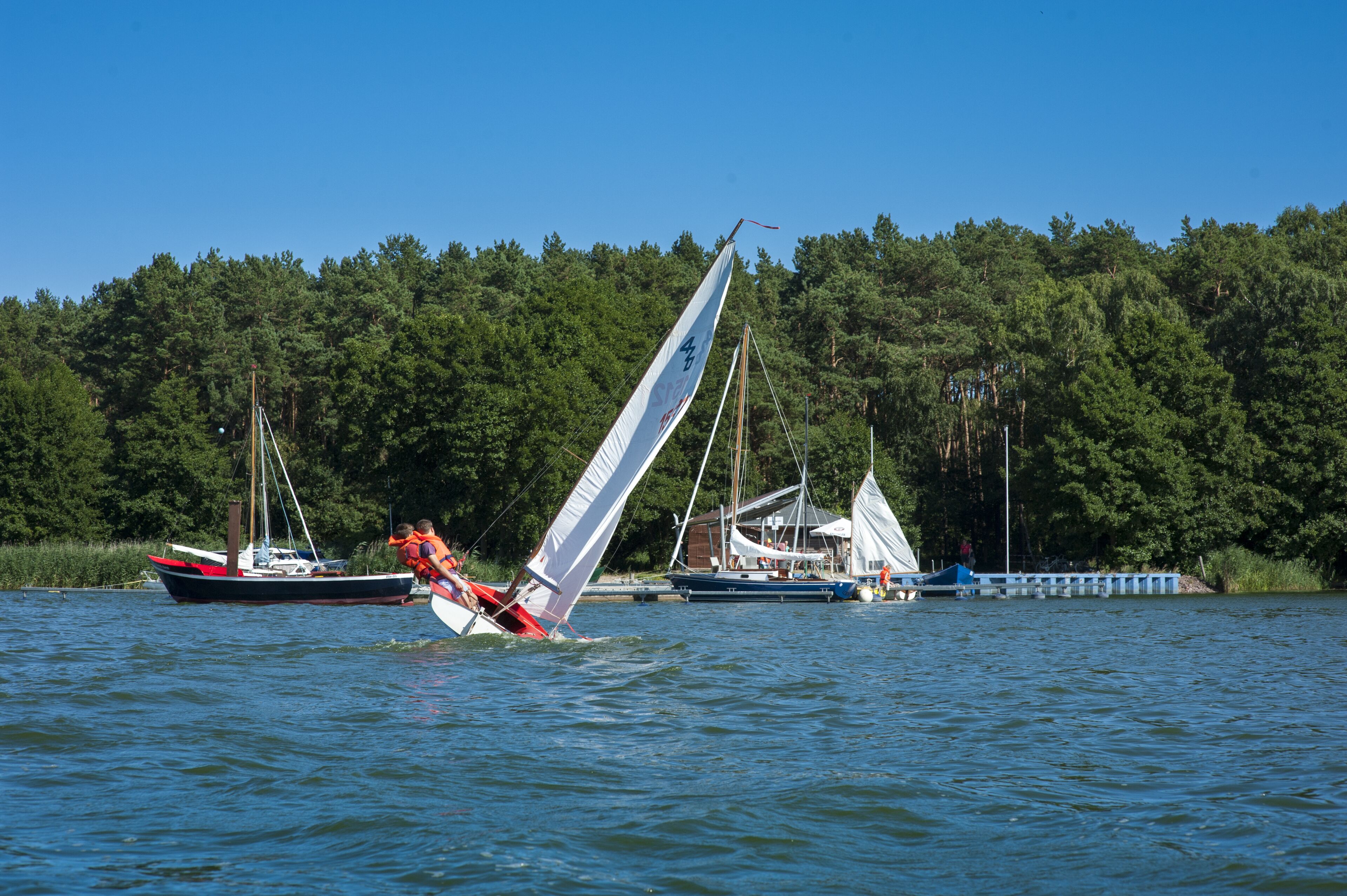 A calm lake with sailboats and a forested shoreline.