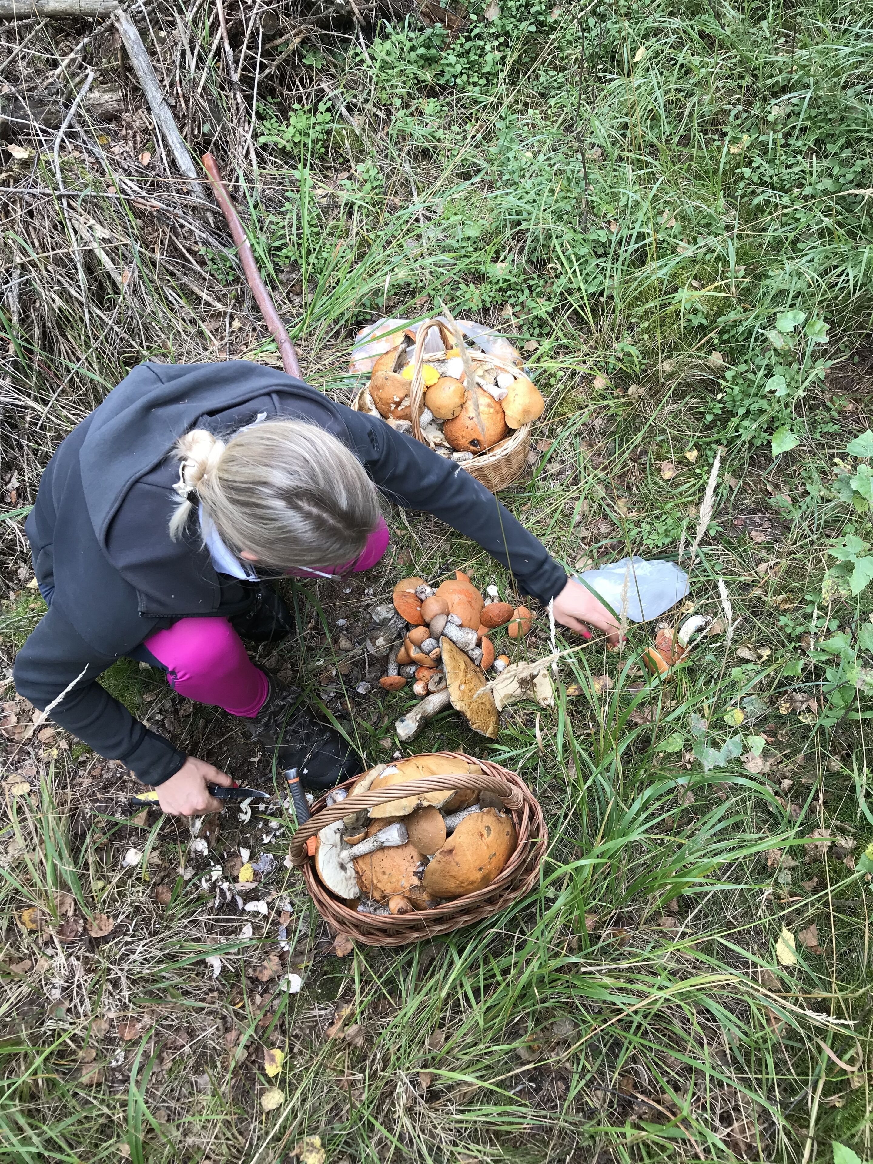 Une personne qui ramasse des champignons dans un environnement naturel, avec des paniers.