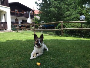 Exterior - Penzion Pazicky (Stara Lesna)