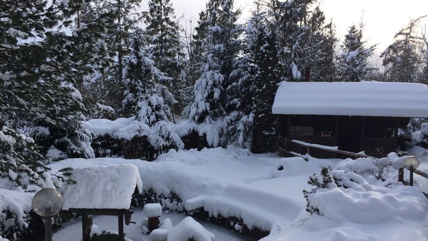 A snow-covered outdoor area with a wooden bench and a lamp post, surrounded by snow-laden trees and a cabin. - Penzion Pazicky (Stara Lesna)