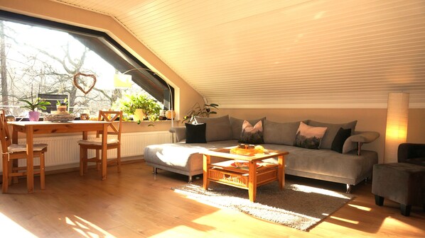 Apartment, 2 Bedrooms, Non Smoking, Fireplace | Living area | Flat-screen TV, DVD player