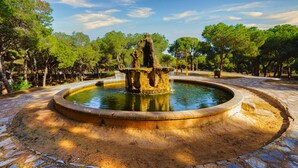 Een ronde fontein met een standbeeld in het midden, omringd door een geplaveid gebied en bomen.