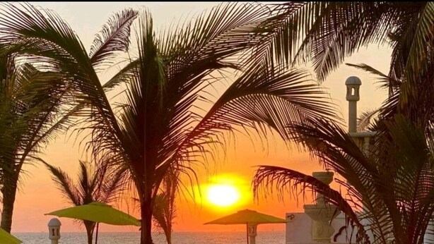 A sunset view with palm trees, a white fence, and a fountain. - Hotel La Casona Beach (Iztapa)