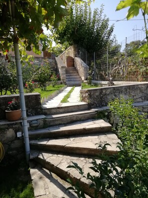 Traditional-Haus | Terrasse/Patio