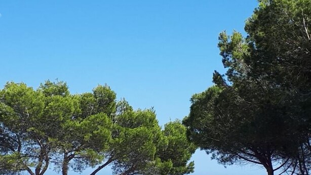 A poolside area with lounge chairs and a view of the sea. - Spectacular tower in front of the sea (L' AMETLLA DE MAR)